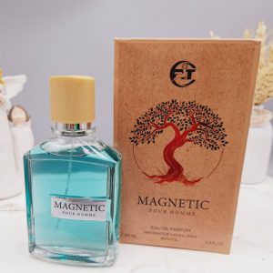 عطر اماراتی اورتو پاریسی مگا ماره (ماجنتیک) MAGNERIC میل 100