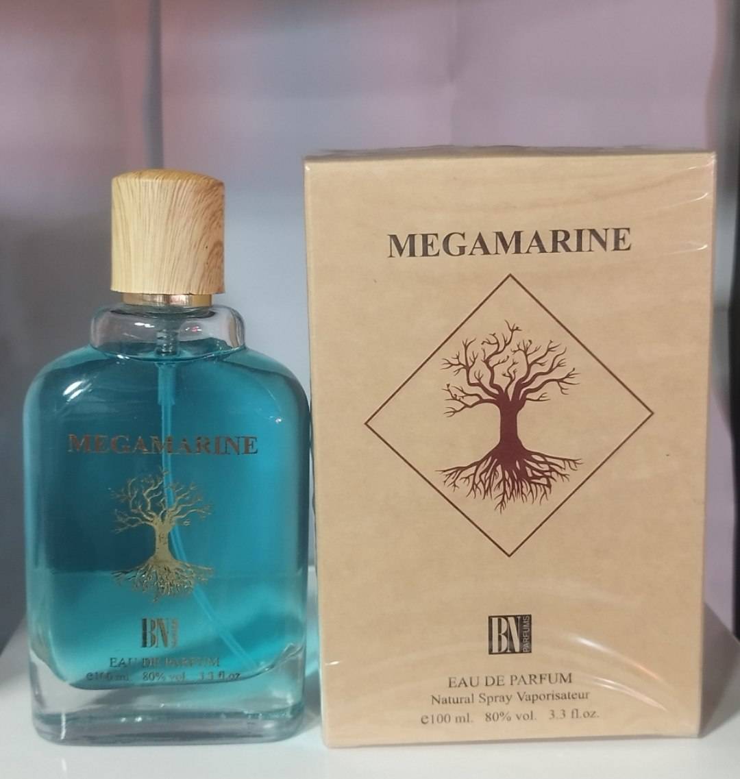 -2147483648_-210653 عطر ادکلن ادوپرفیوم مگاماره آبی 100 میل اماراتی